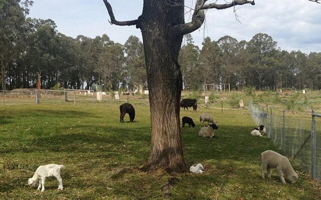 Honeycomb Valley Farm
