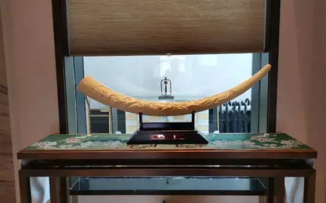 Yeohwa Oriental Hotel (Harbin Haxi Wanda Plaza)