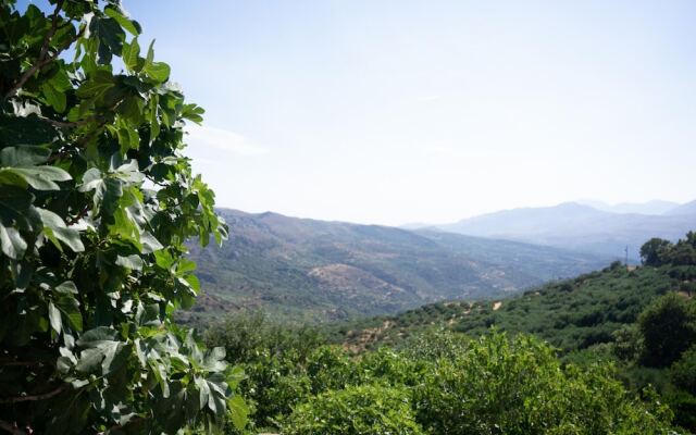 Charming Cretan House 2BR 2bths Wifi