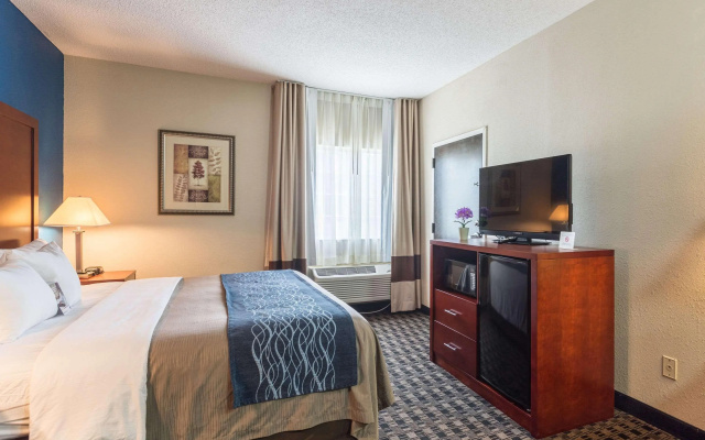 Comfort Inn Decatur Priceville