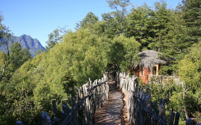 Nidos De Pucon Tree Lodge