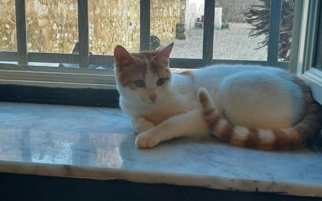 Principe Calaf 3