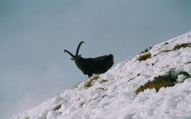 Affittacamere Saint Salod