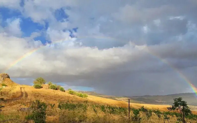 Nature Lovers Escape on an Eco-friendly Vineyard