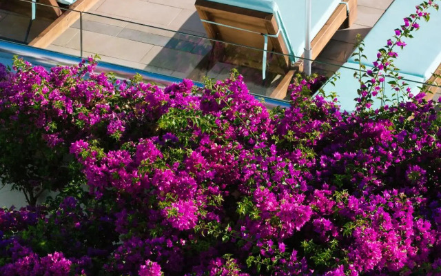 Oceanis Beach & Spa Resort-All Inclusive