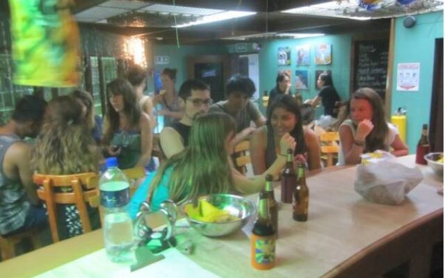 Drop Bear Hostel