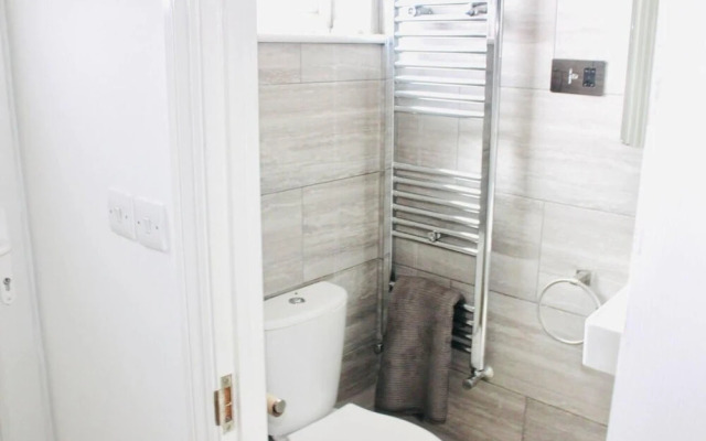 Lovely and Spacious House in South London