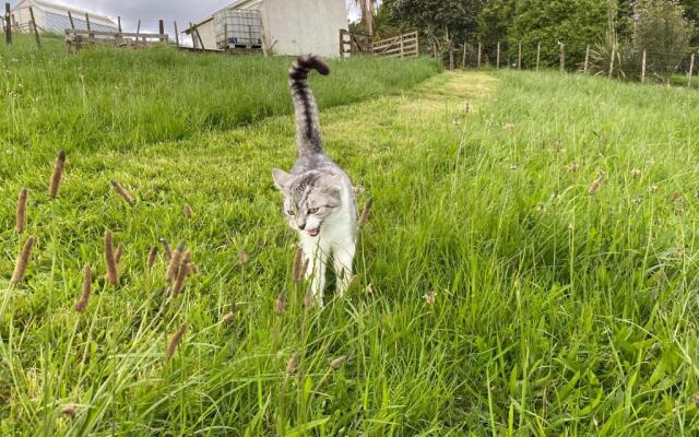 Pukeatua Farmstay