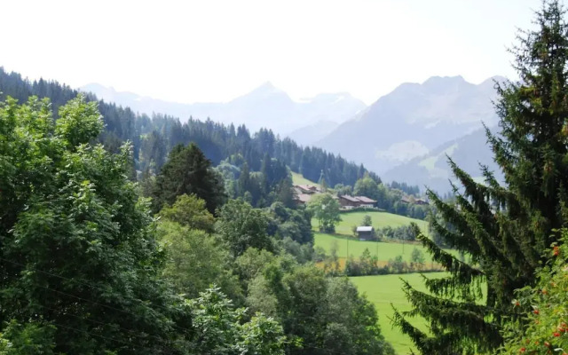 Ariel Saanen in Saanen