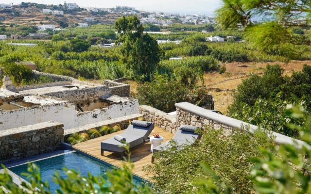 Ikies of Mykonos
