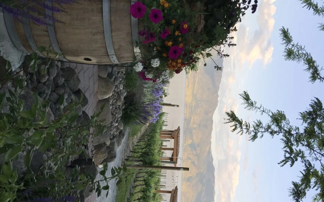 Cheers B&B