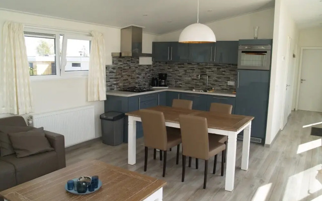 Modern Chalet Located in the Achterhoek