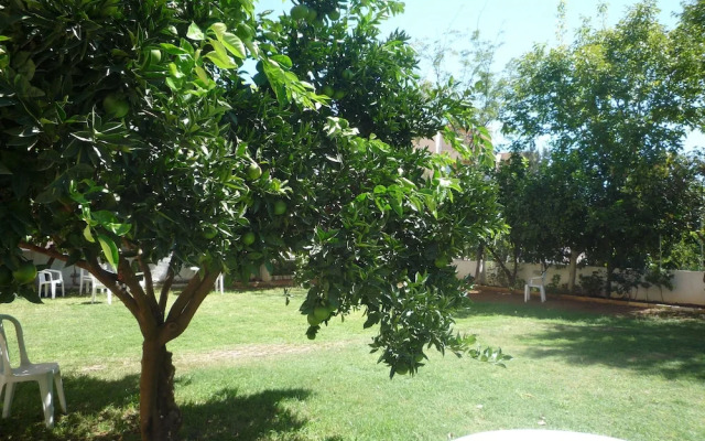 Pinus Apart & Hotel