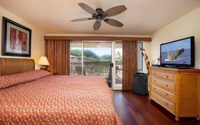 Kahana Sunset B1 - Two Bedroom Condo