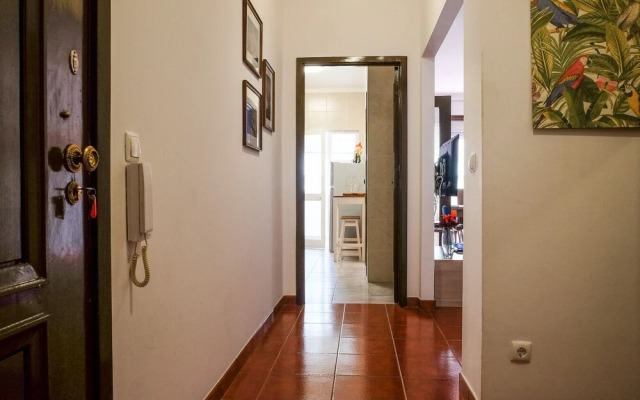 Aliados Delight by Homing