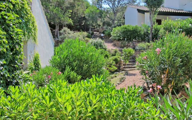 Mari di Soli (PVC402)