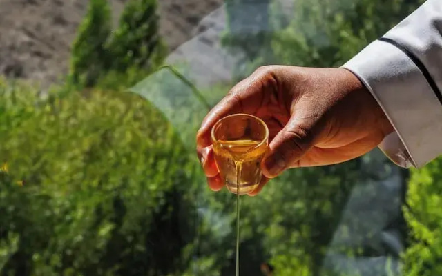 Hotel Ladakh Retreat