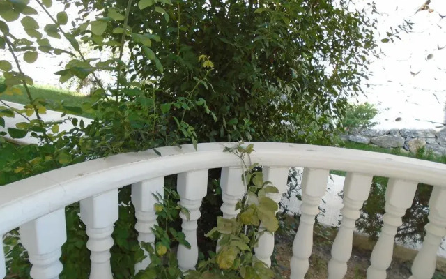 Lakeside Garden
