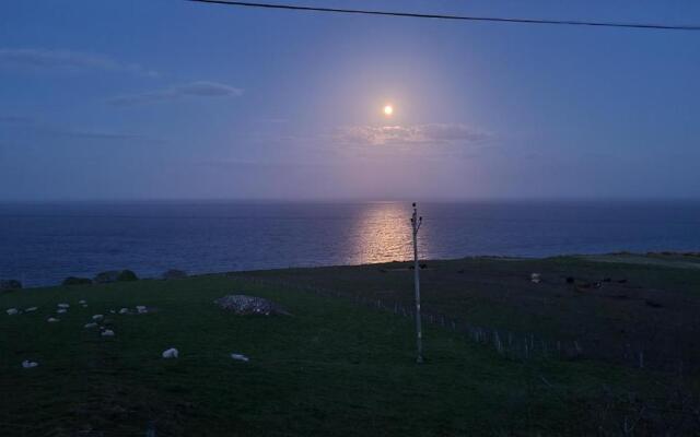 The Tall Pines Studio