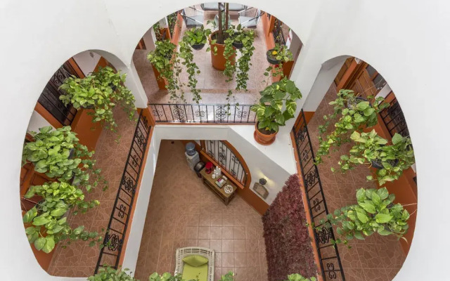 Alma y Mar Hotel & Suites