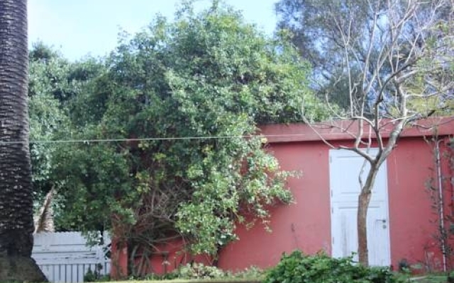 El Perenquen