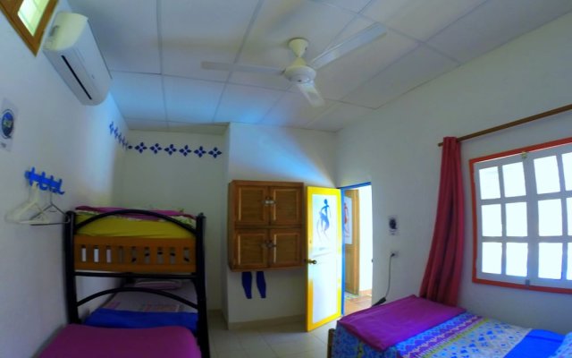 Divanga Hostel