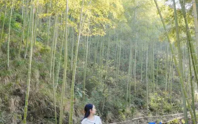 Anji ShiIi Yangchang Hot Spring Private Soup Homestay
