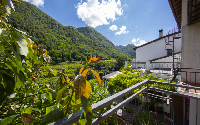 Glicine among vineyard