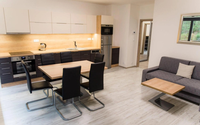 Apartment Mumlava Harrachov 5