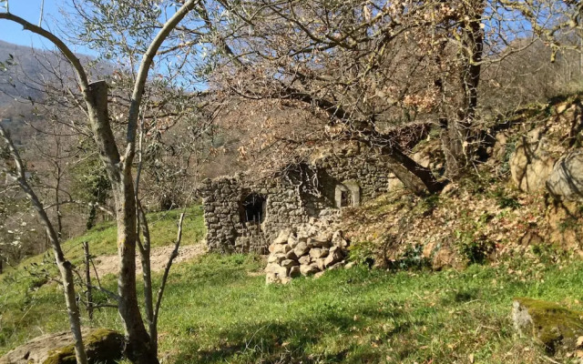 Podere Pontepietra
