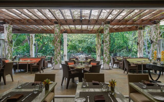 Sunset Marquis