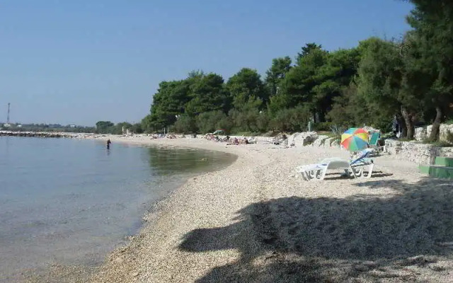 Perkovic Ana