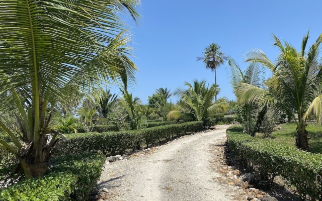 Dream Valley Belize