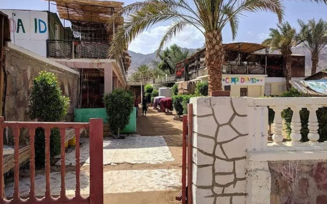 White palace camp ex camp david