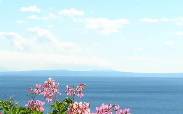 Guest House Lifestyle Holiday