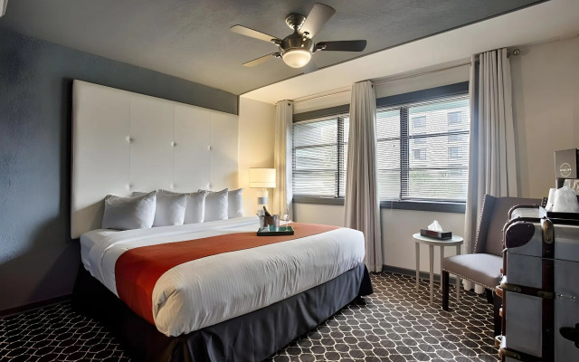 Avalon Hotel Downtown St. Petersburg