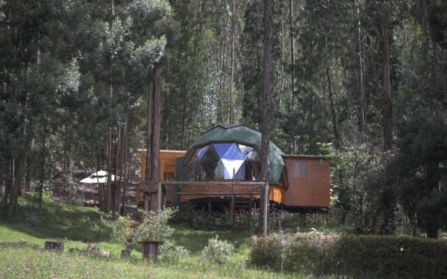 Libélula Glamping