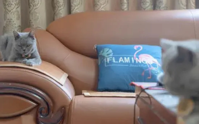 Tongle Yaolin,21 Boutigue Home Stay