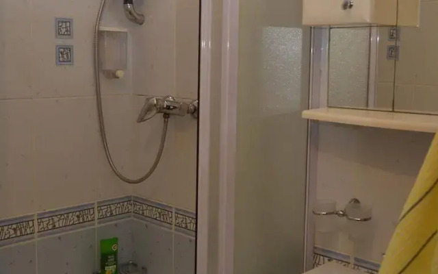 Levytskogo Light Flat