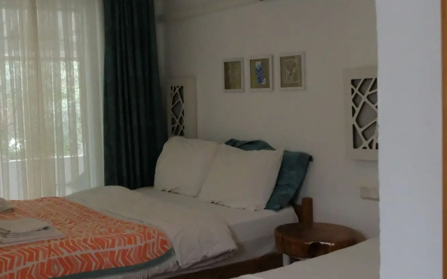 Ceneviz Hotel