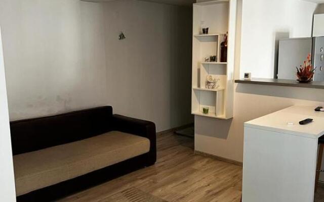 Apartament 3 Central