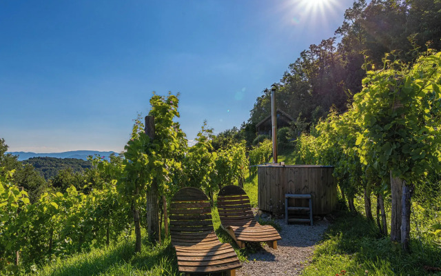 Vineyard cottage Škatlar 3