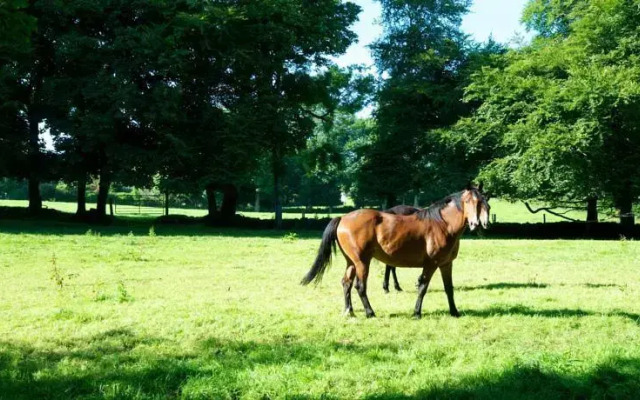 The Glen Country House