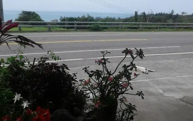 Taitung Linyuan B&B