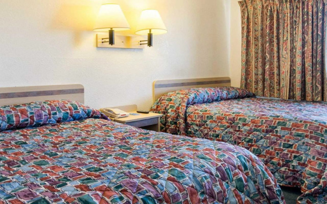 Loyalty Inn