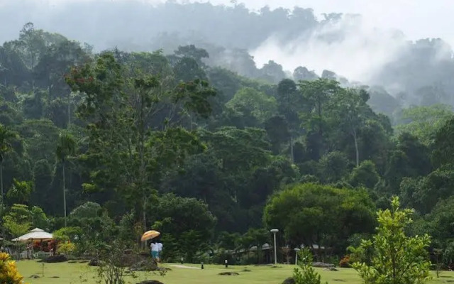 The Natural Garden - Khao Soi Dao -