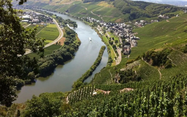 Uitzicht op de Moezel in Urzig