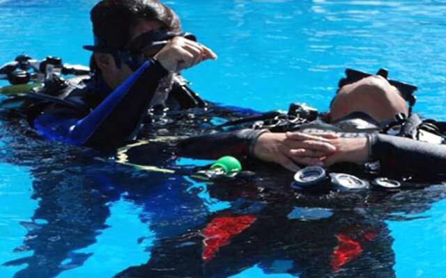 New Heaven Dive n Pension