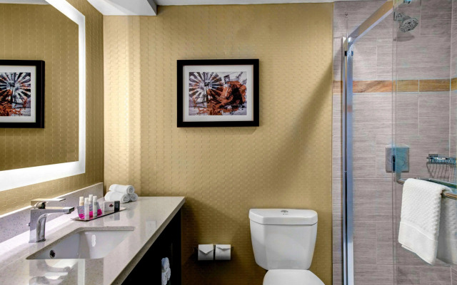 DoubleTree by Hilton Hotel Arlington DFW South