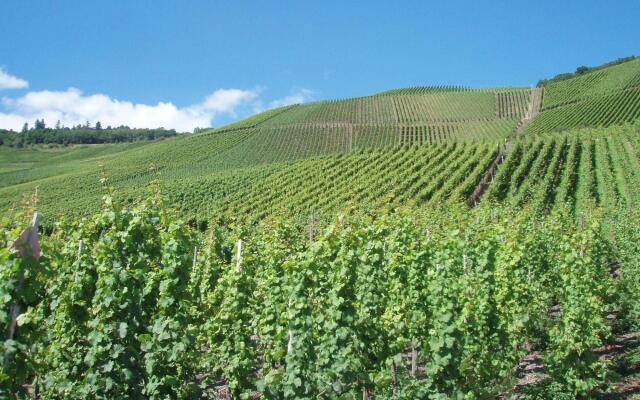 Vineyard View Romantic Stay